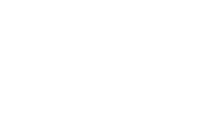 SEO Agentur Nürnberg Logo